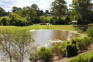 Camellia designed for space and lifestyle