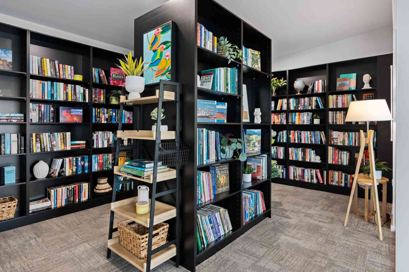 Riley Home Design - LAST 2 BED + STUDY HOME LEFT