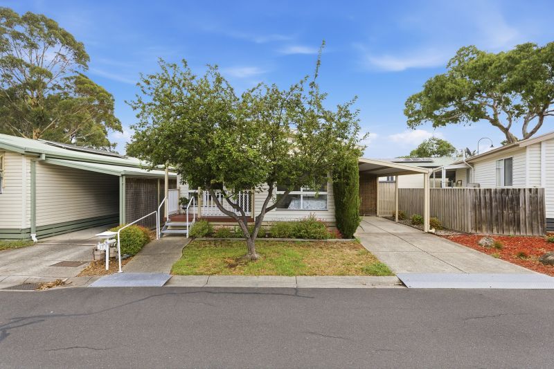 Beautifully Renovated Haven