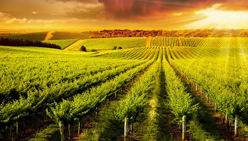 South Australia