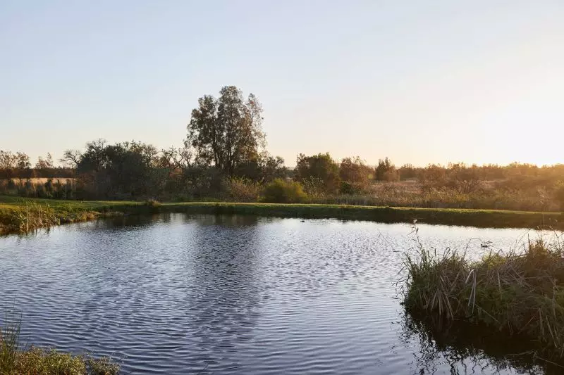 THE FRESHWATER- Brand new, 3 Bedroom, Move in Ready Home