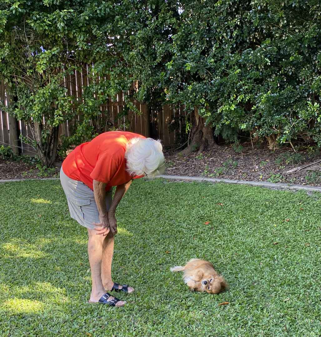 Eureka Cascade Gardens Smithfield – Rental Retirement Living