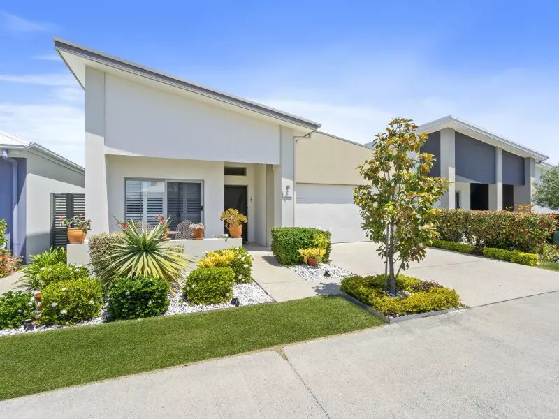 Site 8 - Established Heron