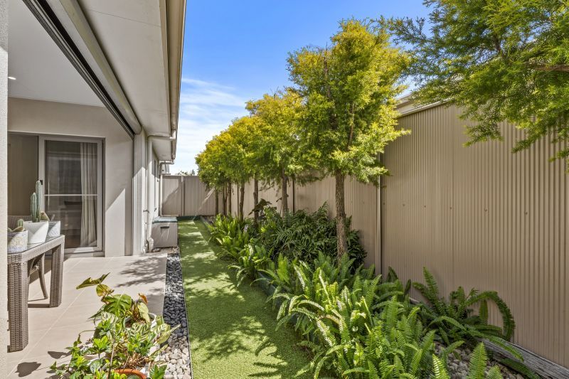 Site 137 - Established Marengo