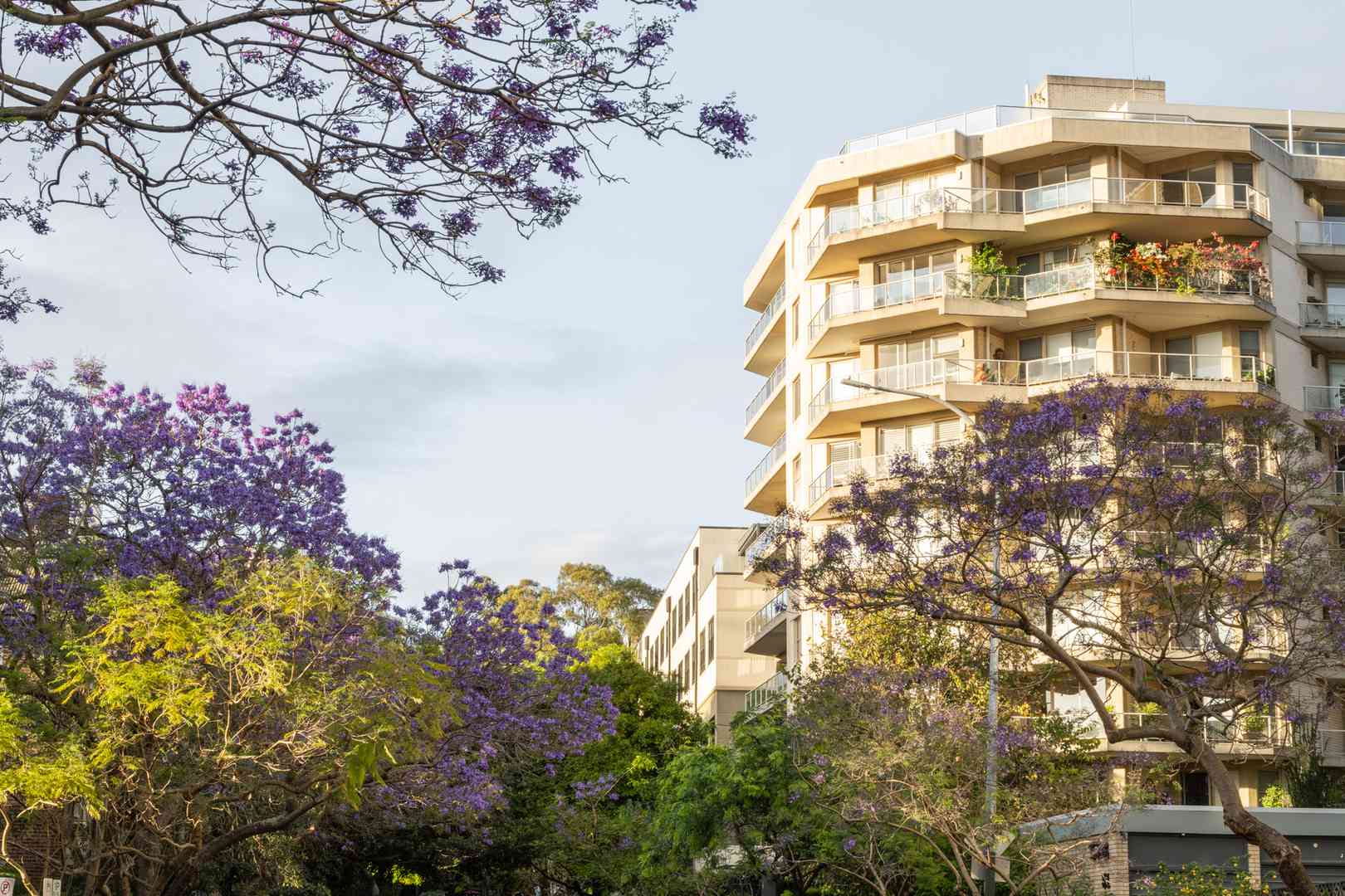 Harbourside Living in Prestigious Elizabeth Bay