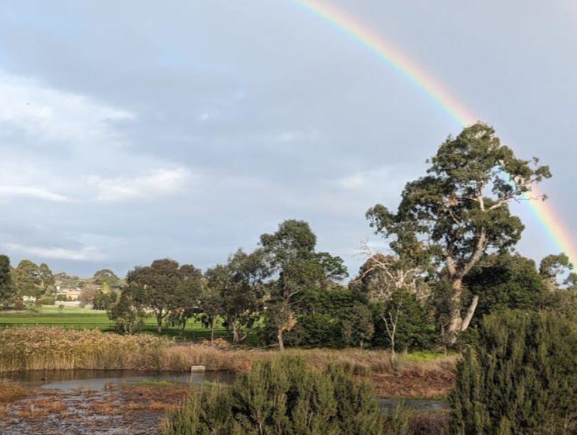 Embrace Your Best Years