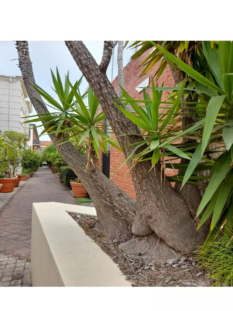 A Unique New York Style Townhouse, Heritage Development!