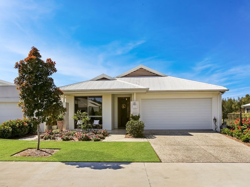 Waterfront Bird Watching