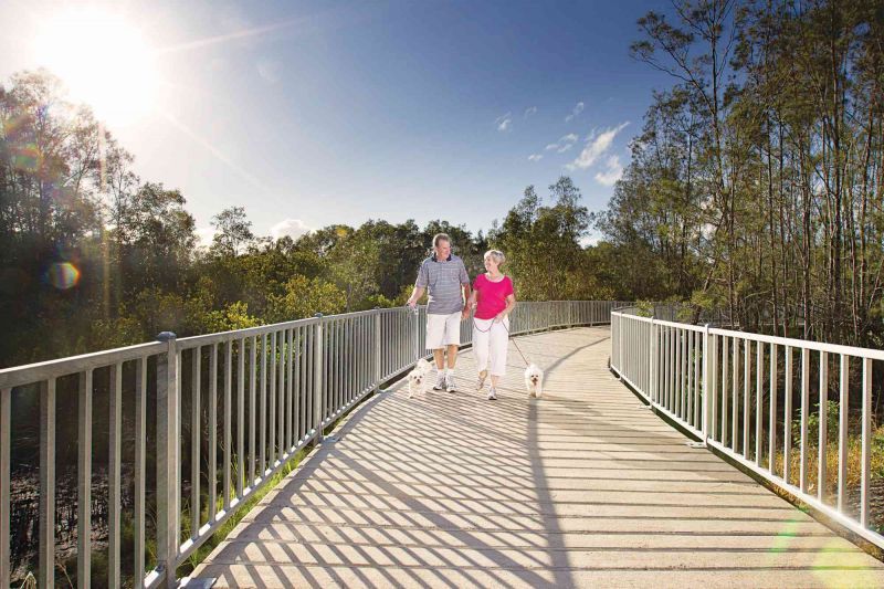 Site 60 - Established Coolum