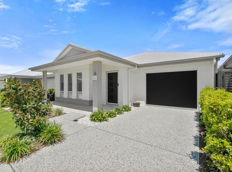 Site 199 - Established Allora